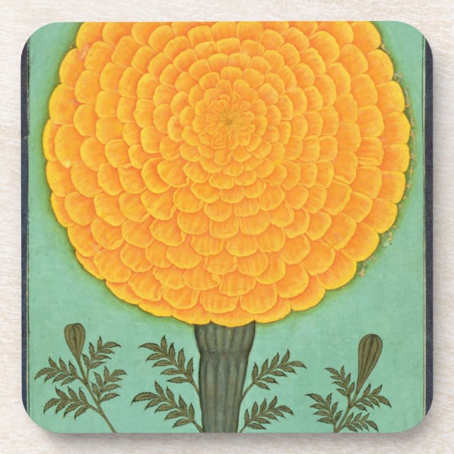 Eine Ringelblume, vom kleinen Clive Album (w/c auf Untersetzer (Vorderseite)