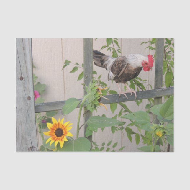 Eine Rooster-Inspektion von Sonnenblumen Seidenpapier (Vorderseite)