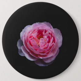 Eine rosa Blume Button