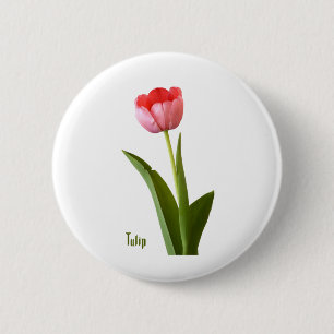 Eine rosa Frühlings-Tulpe-Blumenphotographie Button