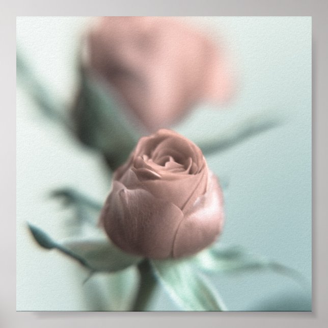 Eine rosa Rose für deinen Liebsten... Poster (Vorne)