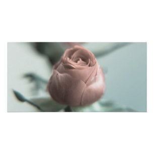 Eine rosa Rose für deinen Liebsten... Poster