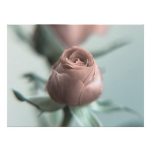 Eine rosa Rose für Ihren Schatz... Poster