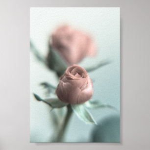 Eine rosa Rose für Ihren Schatz... Poster