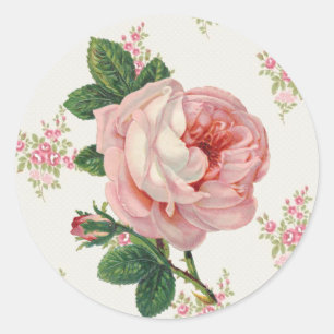 Eine Rose für ein rosa Vintage-Blumenmuster Runder Aufkleber