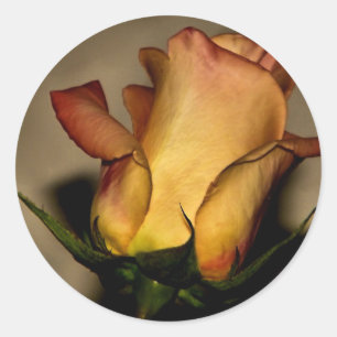 Eine Rose für Ihren Aufkleber