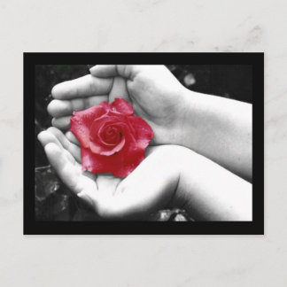 Eine Rose in Hand 2 Postkarte