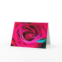 Eine Rose ist nur eine Rose