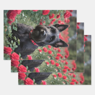 "Eine Rote Rose für den Schwarzen Schottischen Rei Geschenkpapier Set