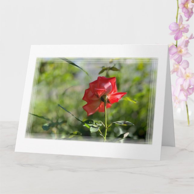 Eine rote Rose Karte (Orchidee)