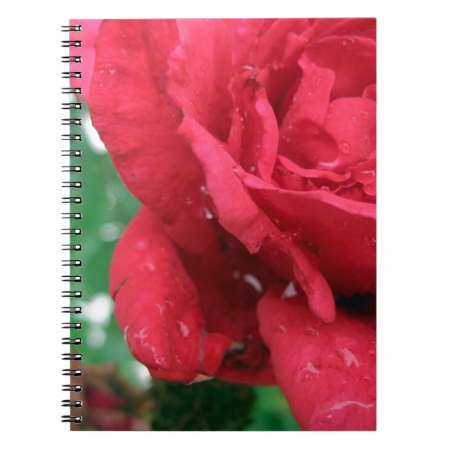 Eine Rote Rose Notizblock (Vorderseite)
