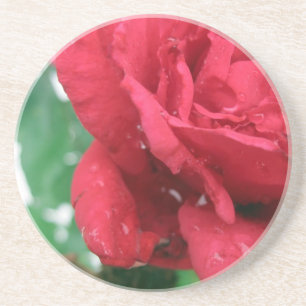 Eine Rote Rose Sandstein Untersetzer