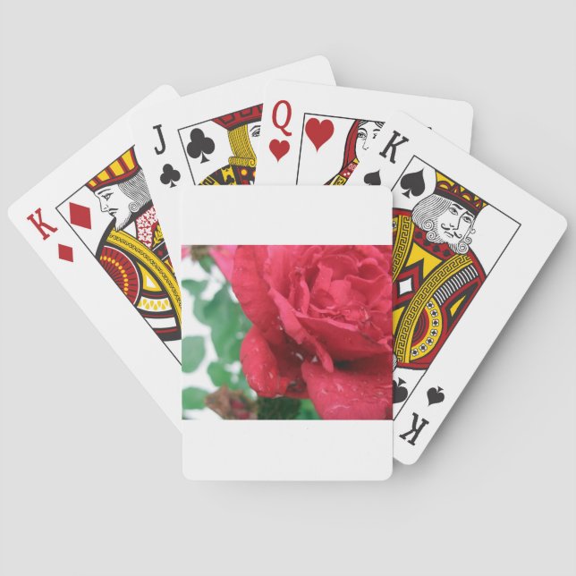 Eine Rote Rose Spielkarten (Rückseite)