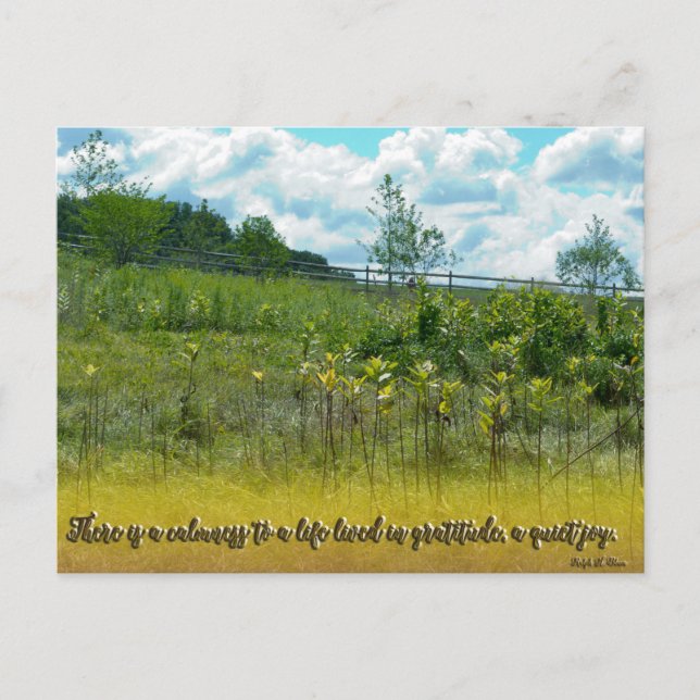 Eine ruhige Freude Postkarte (Vorderseite)