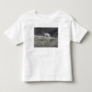 Eine Runde von einer kleinen AT-4 Kleinkind T-shirt