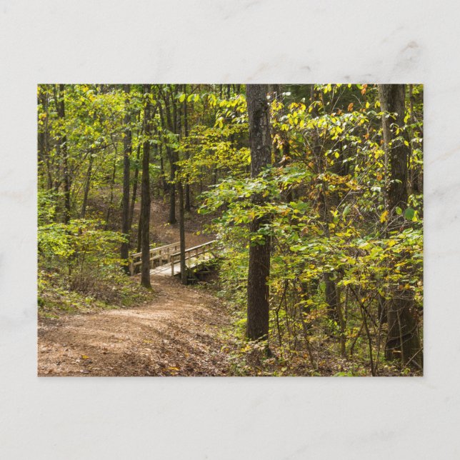 Eine Runge-Pathway-Postkarte Postkarte (Vorderseite)