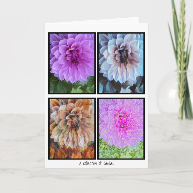 Eine Sammlung der Dahlias-Karte Karte (Vorderseite)