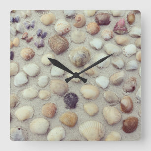 Eine Sammlung Seashells Quadratische Wanduhr