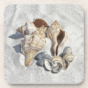 Eine Sammlung von Muscheln im Sand Getränkeuntersetzer