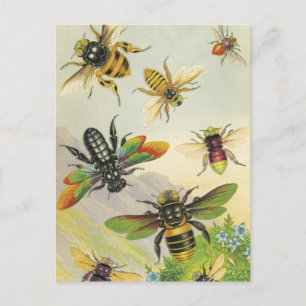 Eine Schar wunderschöner Bienen Postkarten