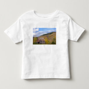 Eine Scheune in Vermonts grünen Bergen. Hancock,  Kleinkind T-shirt