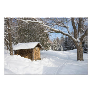 Eine schneebedeckte Szene am Kleinen Lyford Pond d Fotodruck
