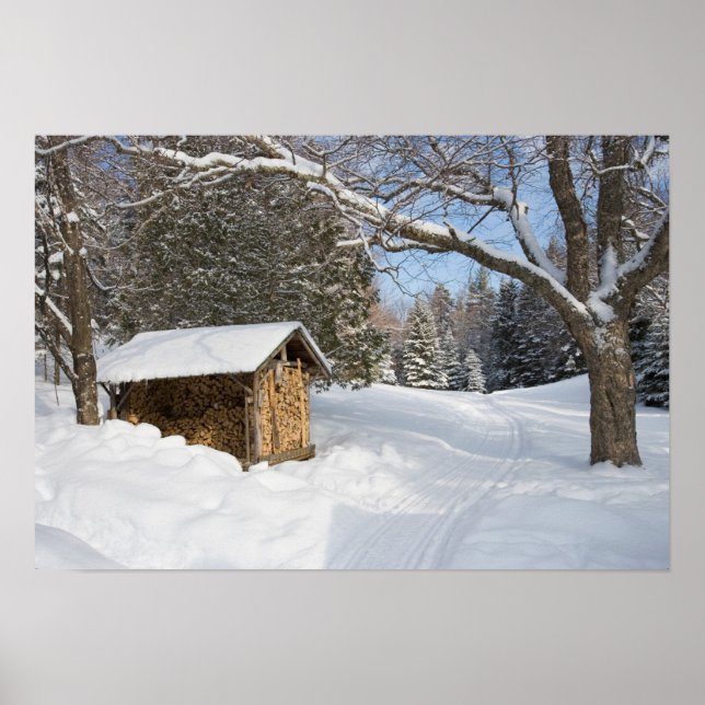 Eine schneebedeckte Szene am Kleinen Lyford Pond d Poster (Vorne)
