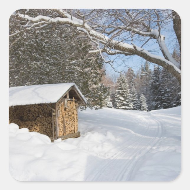 Eine schneebedeckte Szene am Kleinen Lyford Pond d Quadratischer Aufkleber (Vorderseite)