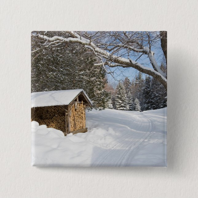 Eine schneebedeckte Szene in dem AMCs wenigen Button (Vorderseite)