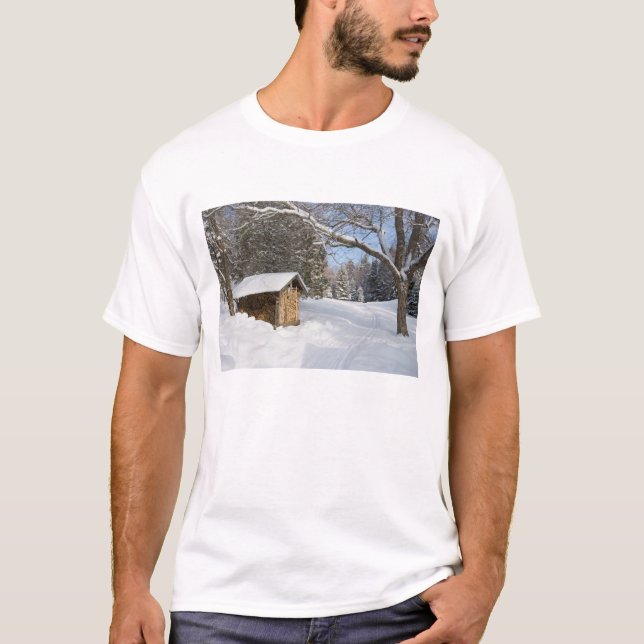 Eine schneebedeckte Szene in dem AMCs wenigen T-Shirt (Vorderseite)