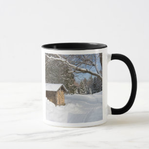Eine schneebedeckte Szene in dem AMCs wenigen Tasse