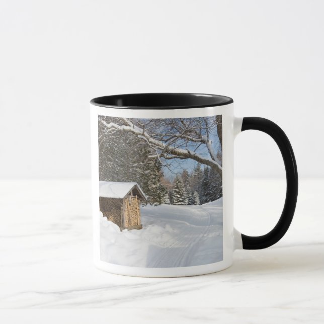 Eine schneebedeckte Szene in dem AMCs wenigen Tasse (Rechts)