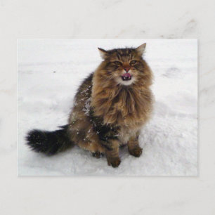 Eine Schneeflocke fangen Postkarte