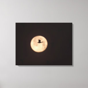 Eine Schneegans gegen einen Vollmond New Mexico Leinwanddruck