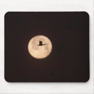 Eine Schneegose gegen Vollmond   Neu Mexiko Mousepad