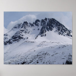 Eine schöne Alaska Bergszene! Poster