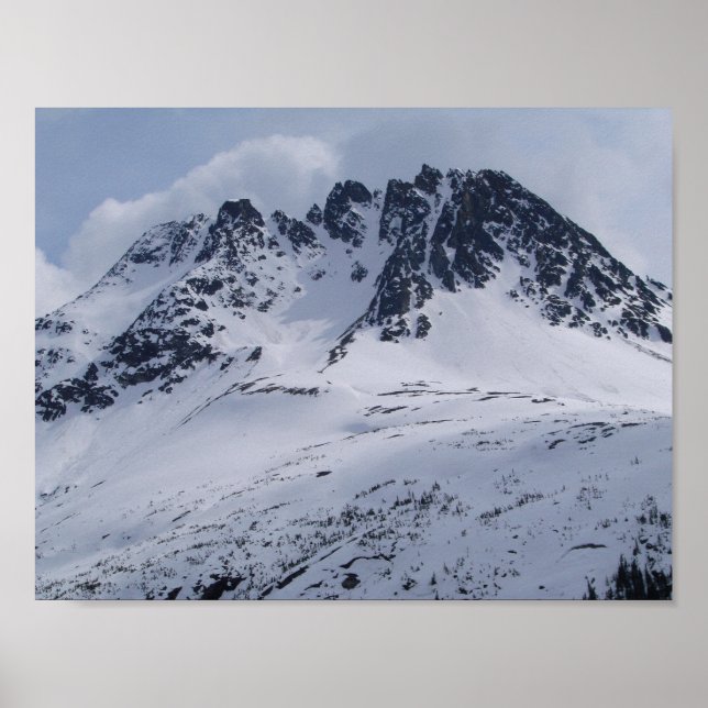 Eine schöne Alaska-Bergszene! Poster (Vorne)