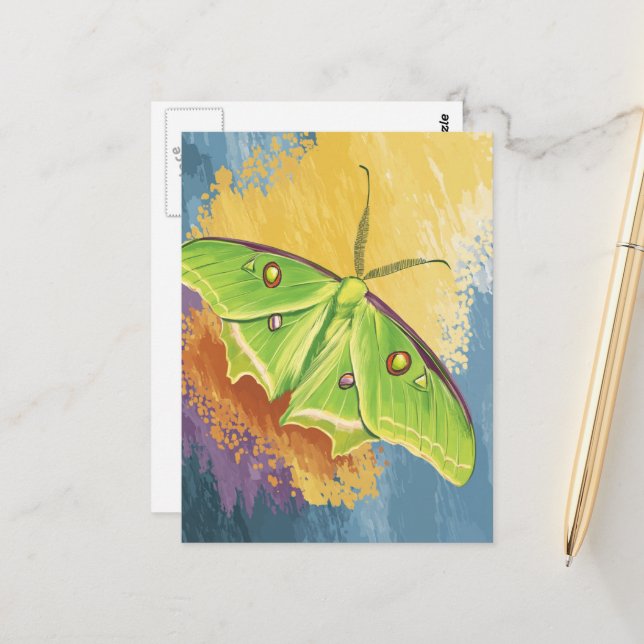 Eine schöne Motte Postkarte (Vorderseite/Rückseite Beispiel)