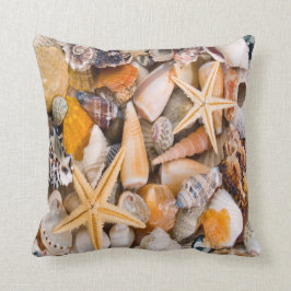 Eine schöne Sammlung Seashells auf einem Kissen