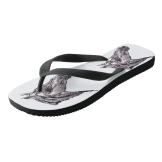 Eine Schönheitskarte für Pferde Flip Flops