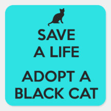 Eine schwarze Katze adoptiert