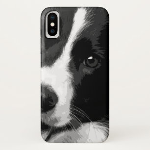 Eine Schwarzweiss-Border-Collie title_seo2