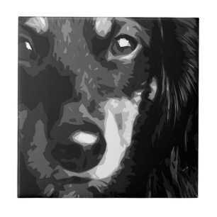 Eine Schwarzweiss-MiniaturDackel Fliese