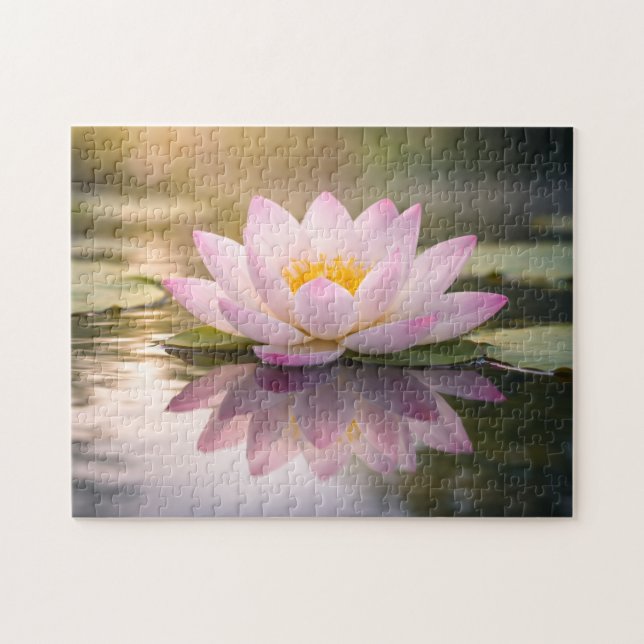 Eine Seerose (Horizontal)