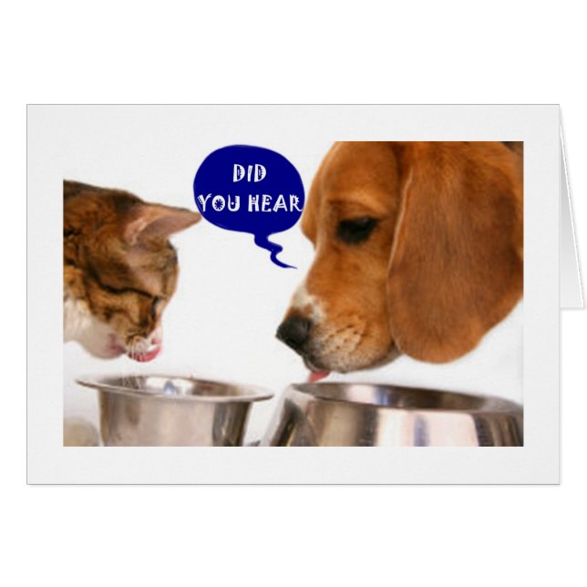 EINE SEHR BESONDERE JUNGE FRAU IST ***21*** (Vorderseite (Horizontal))