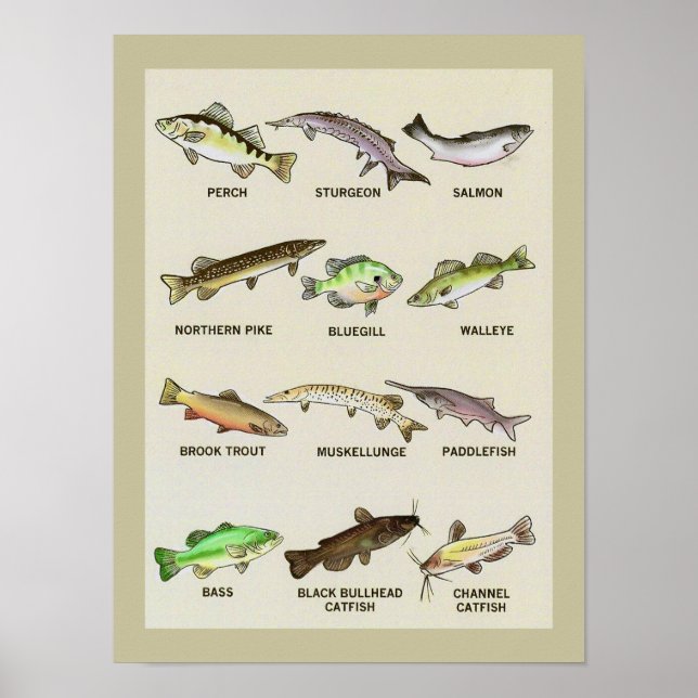 Eine sehr fantasievolle Printwerbung Poster (Vorne)