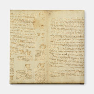 Eine Seite vom Kodex Leicester, 1508-12 Magnet