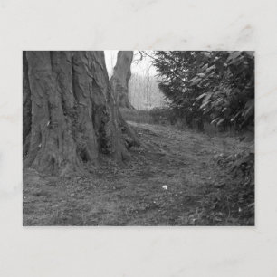 Eine Single-Blume Postkarte