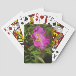 Eine Single-wilde Rose Spielkarten