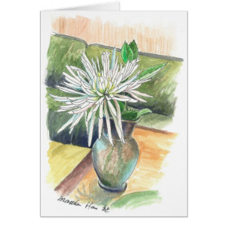 Eine Singlechrysantheme